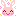 rabbit*O]O*