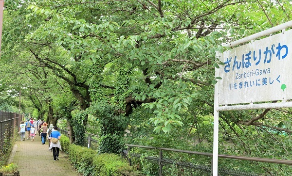 東京にしがわ大学地図部「柴崎分水を歩く」