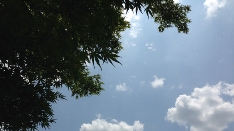 【連載�H】国立ランブリング 「雲を育てる七月よ」 小山伸二