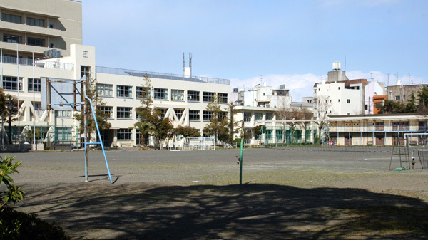 shizucyu1