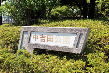 中吉田公園9