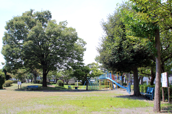 中吉田公園2